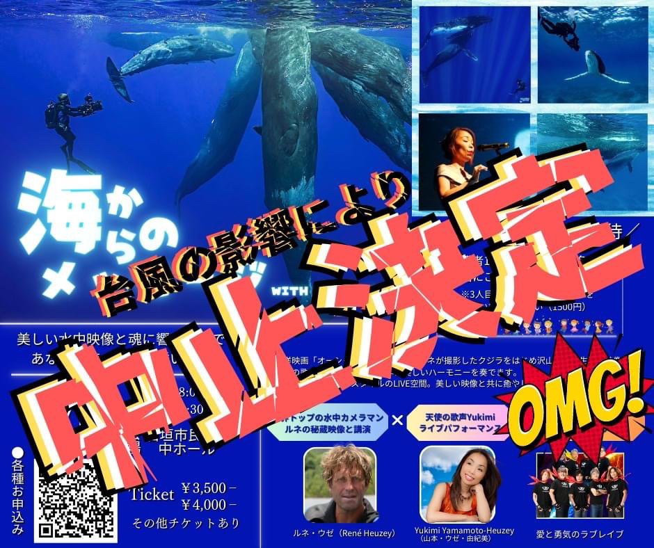 海からのメッセージ with LOBRAVE